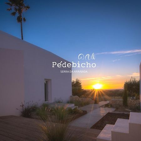 Pedebicho Serra Da Arrabida Country Inn And Studios 아제이타오 외부 사진