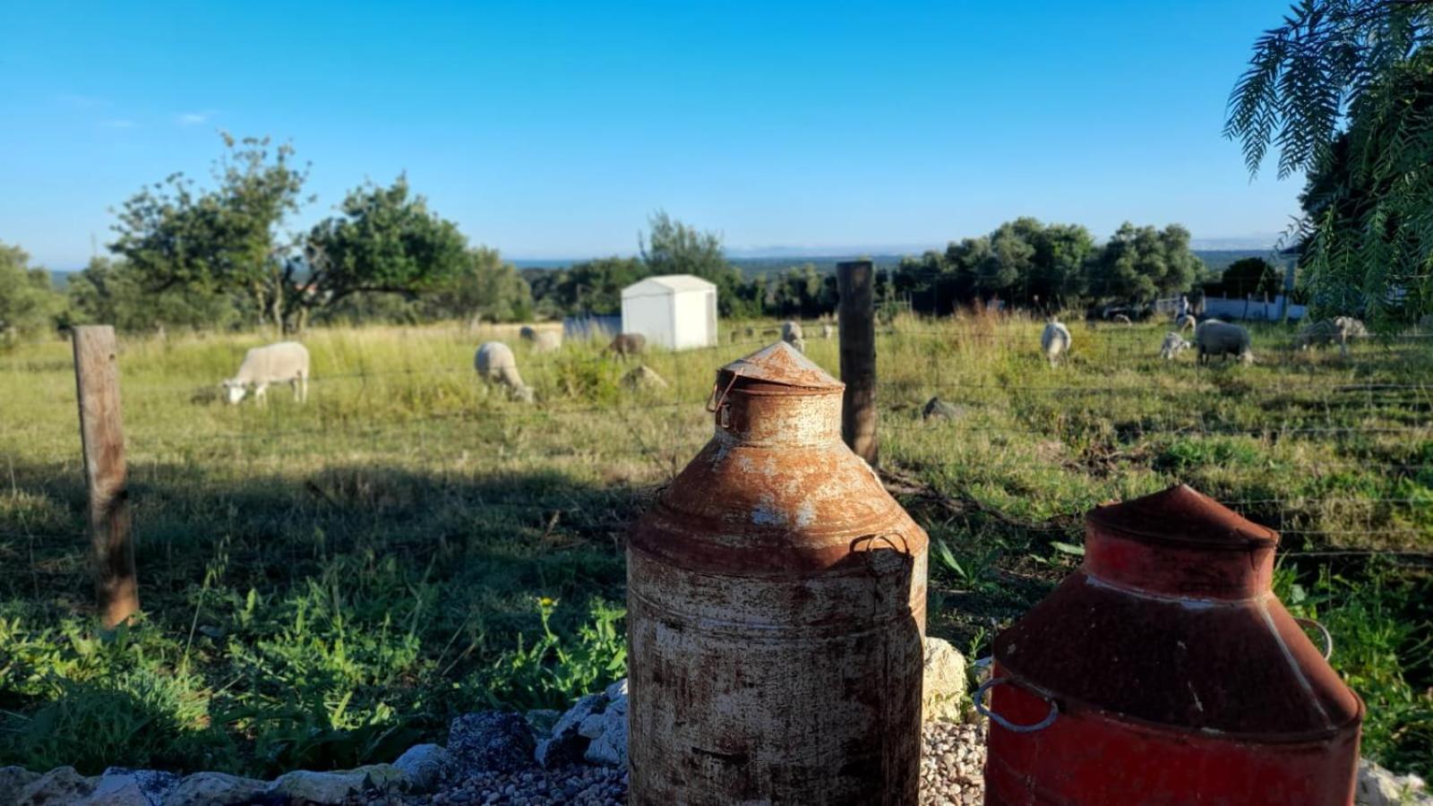 Pedebicho Serra Da Arrabida Country Inn And Studios 아제이타오 외부 사진